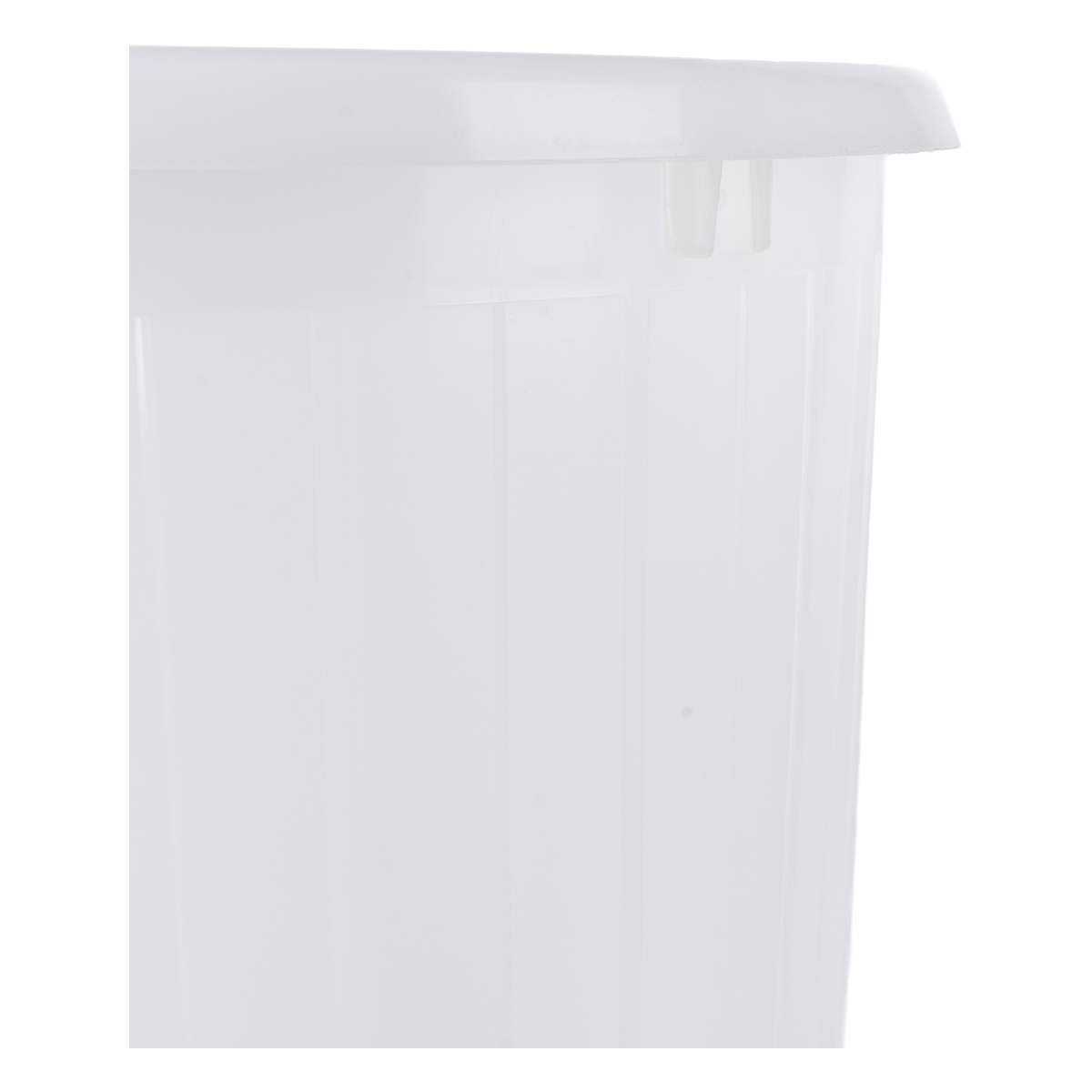 Cuve de fermentation 46 L seulement